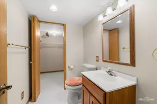 53 Silver Trail, North Aurora, IL 60542 - Photo 17