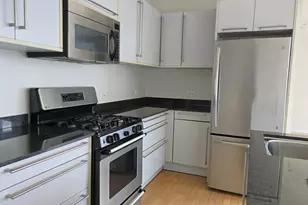 510 W Erie St, Chicago, IL 60654 - Photo 9