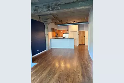 1110 W 15th Street #316, Chicago, IL 60608 - Photo 3