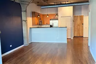 1110 W 15th St, Chicago, IL 60608 - Photo 3
