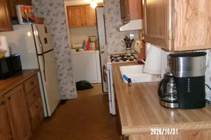 116 N Ford Dr, Ashkum, IL 60911 - Photo 25