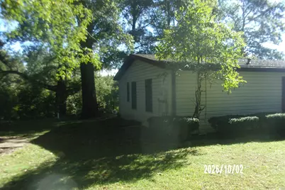 116 N Ford Drive, Ashkum, IL 60911 - Photo 5