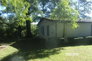 116 N Ford Dr, Ashkum, IL 60911 - Photo 5