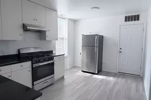 3038 S Emerald St, Chicago, IL 60608 - Photo 15