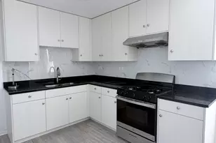3038 S Emerald St, Chicago, IL 60608 - Photo 17