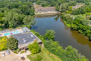 1401 Burr Oak Rd, Hinsdale, IL 60521 - Photo 19