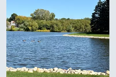 730 Ripple Brook Lane, Elgin, IL 60120 - Photo 17