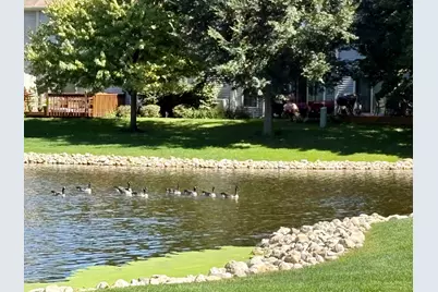 730 Ripple Brook Lane, Elgin, IL 60120 - Photo 19