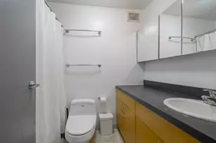 3930 N Pine Grove Ave, Chicago, IL 60613 - Photo 5