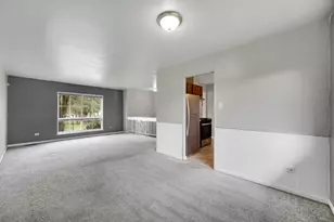 22243 Karlov Ave, Richton Park, IL 60471 - Photo 5