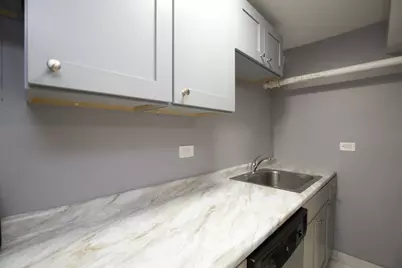 4400 N Racine Avenue #GARDEN, Chicago, IL 60640 - Photo 3