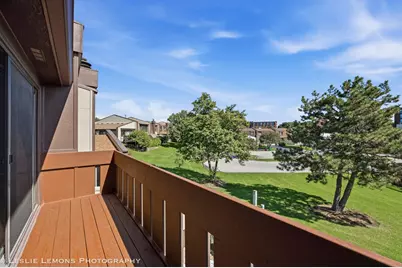 19 Westwood Drive, Indian Head Park, IL 60525 - Photo 23