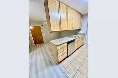 9655 Woods Drive #407, Skokie, IL 60077 - Photo 7