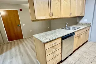 9655 Woods Dr, Skokie, IL 60077 - Photo 7