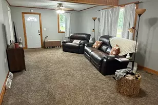 114 W 3rd St, Mineral, IL 61344 - Photo 3