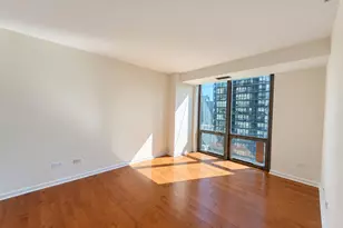 2 E Erie St, Chicago, IL 60611 - Photo 13