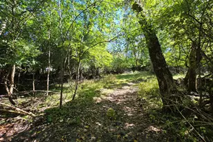 Lot 13 Pokagon Trail, Algonquin, IL 60102 - Photo 1