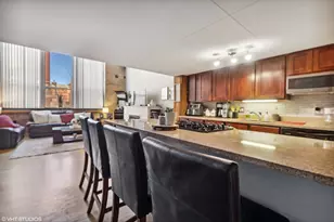 1727 S Indiana Ave, Chicago, IL 60616 - Photo 3