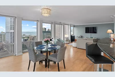 111 E Chestnut Street #46A, Chicago, IL 60611 - Photo 9
