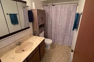 4942 Douglas Rd, Downers Grove, IL 60515 - Photo 19
