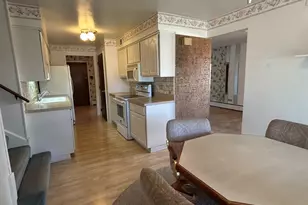 303 S University Ave, Glenwood, IL 60425 - Photo 13