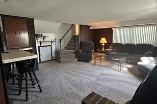 303 S University Ave, Glenwood, IL 60425 - Photo 29