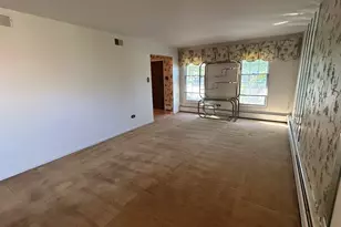303 S University Ave, Glenwood, IL 60425 - Photo 5
