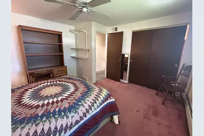303 S University Avenue, Glenwood, IL 60425 - Photo 23