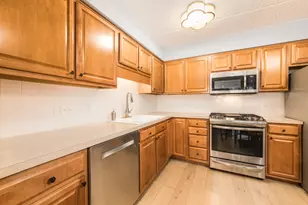 10 S Wille St, Mount Prospect, IL 60056 - Photo 11