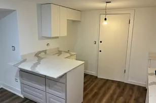 5523 N Major Ave, Chicago, IL 60630 - Photo 7