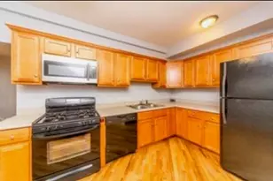 1127 N Christiana Ave, Chicago, IL 60651 - Photo 5