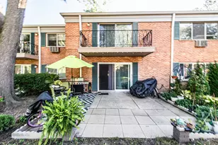 711 E Falcon Dr, Arlington Heights, IL 60005 - Photo 13