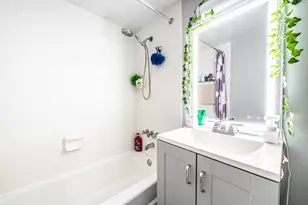 711 E Falcon Dr, Arlington Heights, IL 60005 - Photo 29