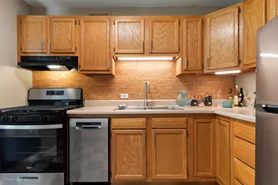 3021 S Michigan Avenue #407, Chicago, IL 60616 - Photo 9