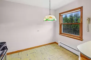 6046 W Miami Ave, Chicago, IL 60646 - Photo 7