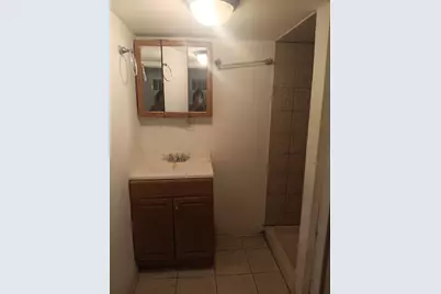 3033 W 54th Street, Chicago, IL 60632 - Photo 15