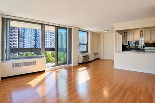 1255 N Sandburg Terrace, Chicago, IL 60610 - Photo 3