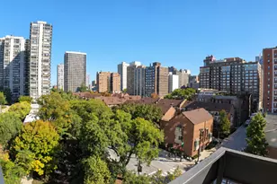 1255 N Sandburg Terrace, Chicago, IL 60610 - Photo 11