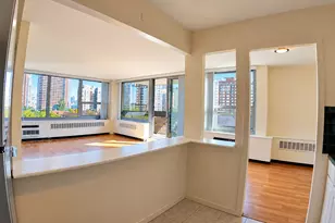 1255 N Sandburg Terrace, Chicago, IL 60610 - Photo 7