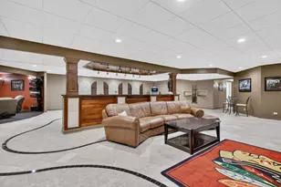 25118 W McMillin Dr, Channahon, IL 60410 - Photo 69
