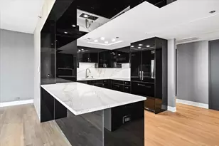 950 N Michigan Ave, Chicago, IL 60611 - Photo 13