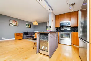 1339 N Dearborn St, Chicago, IL 60610 - Photo 11
