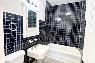 2119 S 51st Ave, Cicero, IL 60804 - Photo 11