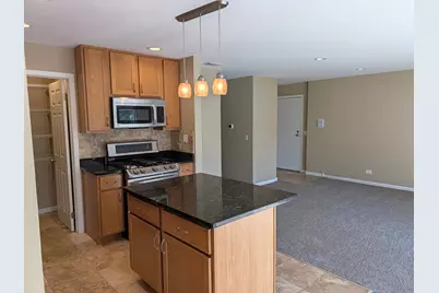 103 Marble Hill Court #B2, Schaumburg, IL 60193 - Photo 5