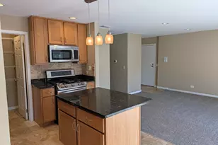 103 Marble Hill Ct, Schaumburg, IL 60193 - Photo 5