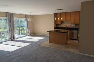 103 Marble Hill Ct, Schaumburg, IL 60193 - Photo 3