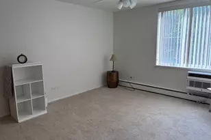 201 S Maple Ave, Oak Park, IL 60302 - Photo 15