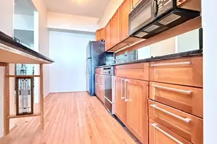 175 E Delaware Pl, Chicago, IL 60611 - Photo 9