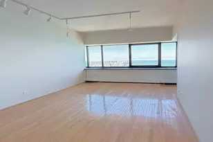 175 E Delaware Pl, Chicago, IL 60611 - Photo 3