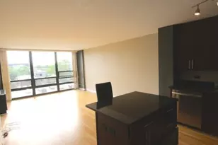 1636 N Wells St, Chicago, IL 60614 - Photo 21